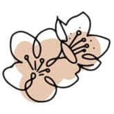 טיפול-זוגות טיפול טנטרה זוגות